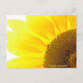 je eigen zonnebloem zijn briefkaart (Voorkant)