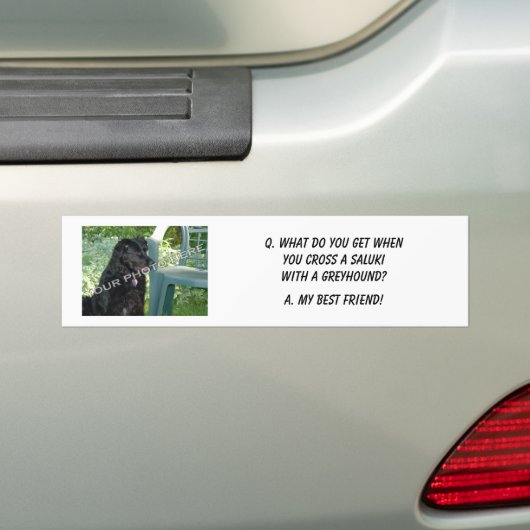 Je foto hier! Mijn beste vriend Saluki Mix Bumpersticker (Op auto)