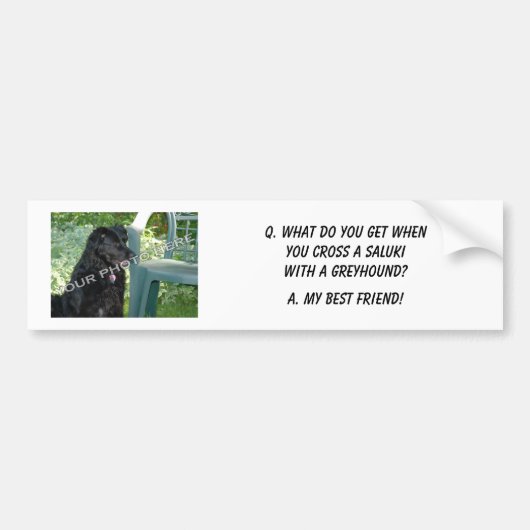 Je foto hier! Mijn beste vriend Saluki Mix Bumpersticker (Voorkant)