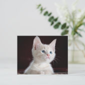 Je foto is aangepast briefkaart (Staand voorkant)