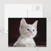 Je foto is aangepast briefkaart (Voorkant / Achterkant)