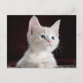 Je foto is aangepast briefkaart (Voorkant)