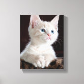 Je foto is aangepast canvas afdruk (Voorkant)