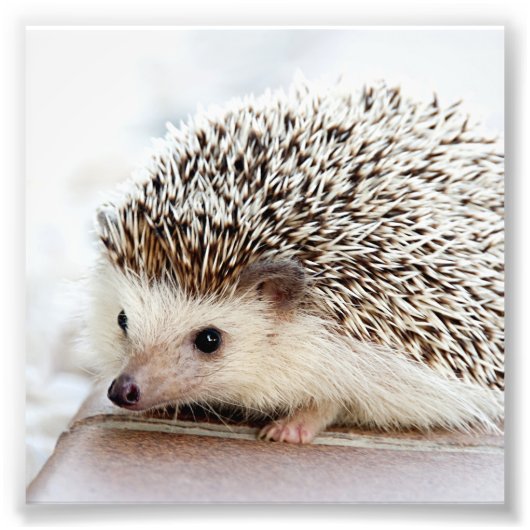 Je foto kan op maat worden afgedrukt afdruk (Voorkant)