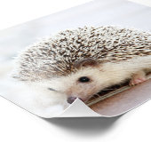 Je foto kan op maat worden afgedrukt afdruk (Hoek)