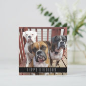 Je foto toevoegen | Fijne verjaardag van honden Aankondiging (Staand voorkant)