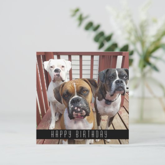 Je foto toevoegen | Fijne verjaardag van honden Aankondiging (Staand voorkant)