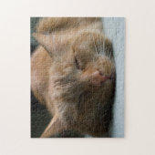 Je foto toevoegen | Uw Furry Friend Legpuzzel (Verticaal)