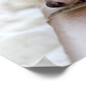 Je foto uploaden Aangepast Poster (Hoek)