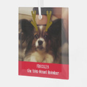 Je foto van het natte rendierpet glas ornament (Voorkant links)