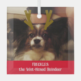 Je foto van het natte rendierpet glas ornament