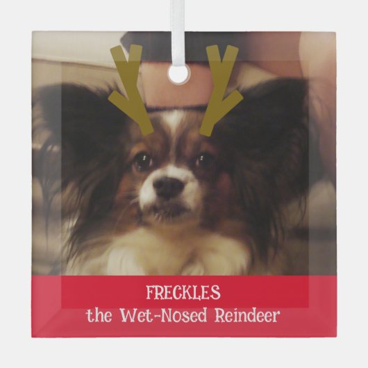 Je foto van het natte rendierpet glas ornament (Voorkant)