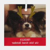 Je foto van het natte rendierpet glas ornament (Achterkant)