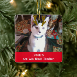 Je foto van het natte rendierpet keramisch ornament