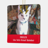 Je foto van het natte rendierpet keramisch ornament (Links)