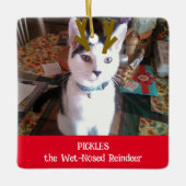 Je foto van het natte rendierpet keramisch ornament (Voorkant)