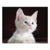 Je fotoaangepaste afdrukken foto afdruk (Voorkant)