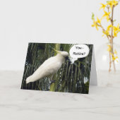 "JE GAAT MET PENSIOEN", HET GAAT OVER GENIETEN VAN KAART (Gele Bloem)