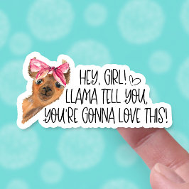 Je gaat van deze Cute Llama Funny Pun houden Sticker