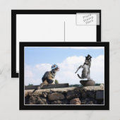 Je geeft me het gevoel te dansen! briefkaart (Voorkant / Achterkant)