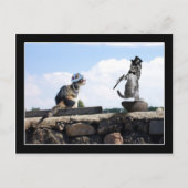 Je geeft me het gevoel te dansen! briefkaart (Voorkant)