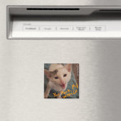 Je gooit mijn wereld op! magneet (Insitu (Vaatwasser))