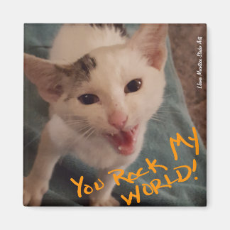 Je gooit mijn wereld op! magneet