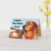 Je Gouden Jaren Pensioen Wens Goud Retriever Kaart (Gele Bloem)