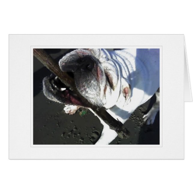 je haalt (Voorkant Horizontaal)