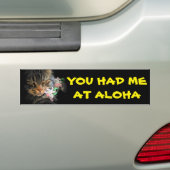 Je had me bij Aloha Kat met Lei Bumpersticker (Op auto)