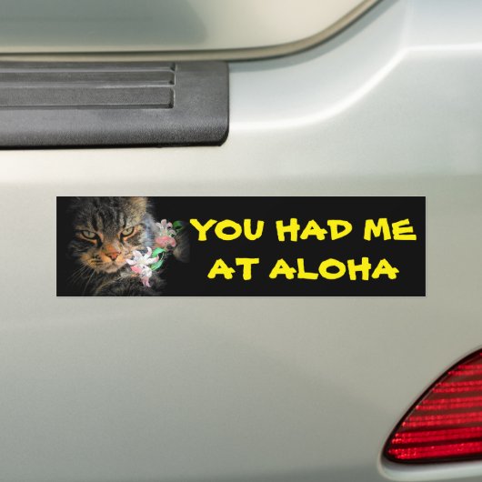 Je had me bij Aloha Kat met Lei Bumpersticker (Op auto)