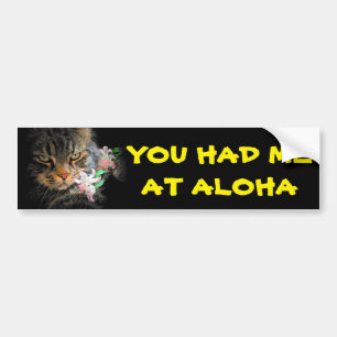 Je had me bij Aloha Kat met Lei Bumpersticker