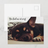 Je had me bij de woof. Chihuahua briefkaart. Briefkaart (Voorkant / Achterkant)