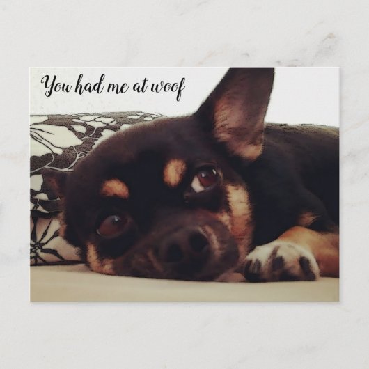 Je had me bij de woof. Chihuahua briefkaart. Briefkaart (Voorkant)