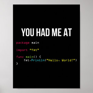 Je Had Me Bij Hallo Wereld Coder Cool Gamen Chris Poster