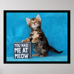 Je had me bij Meow Bengal Kitten Poster