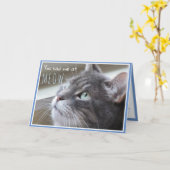 Je had me bij Meow Happy Jubileum Schattige Cat Kaart (Gele Bloem)