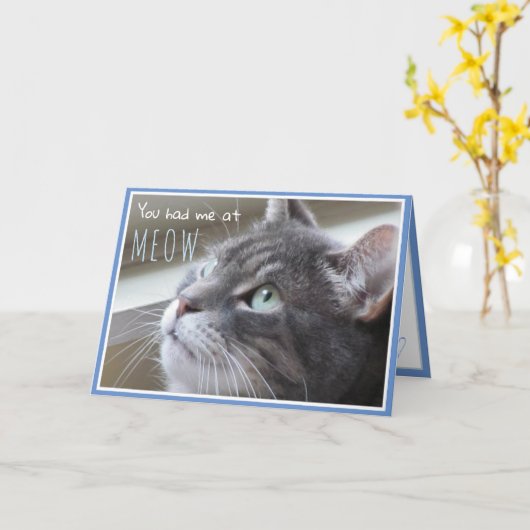 Je had me bij Meow Happy Jubileum Schattige Cat Kaart (Gele Bloem)