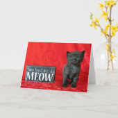 Je had me bij Meow - Pepper (ook bekend als Jelly  Kaart (Gele Bloem)