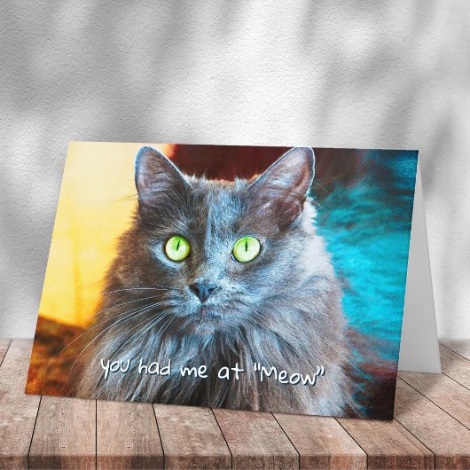 Je had me bij Meow Schattige Grey Cat Photography  Kaart
