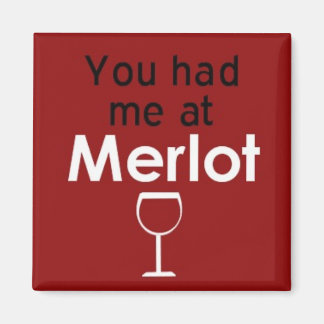Je had me bij Merlot vierkante magneet