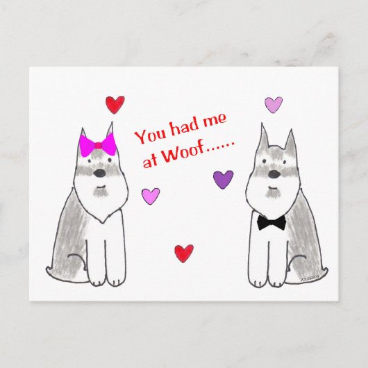 Je had me bij Wof Schnauzer Briefkaart (Voorkant)