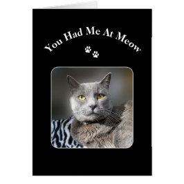 Je had me op een gemiddelde Russische blauwe kat