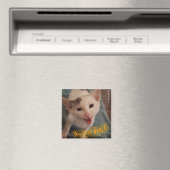 Je hebt dit, kitten magnet. magneet (Insitu (Vaatwasser))