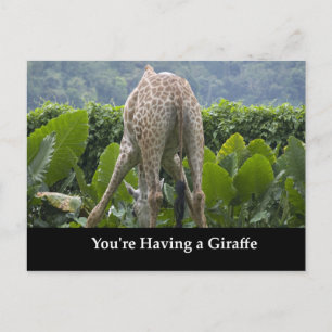 Je hebt een Giraffe! Briefkaart