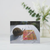 je hebt een slakkenpost briefkaart (Staand voorkant)