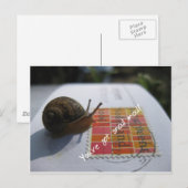 je hebt een slakkenpost briefkaart (Voorkant / Achterkant)