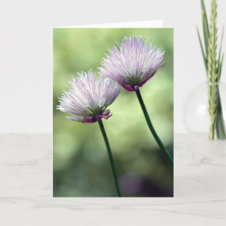 Je hebt een vriend in me... kaart