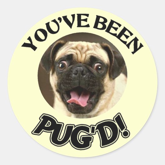 JE HEBT GEZEGD! - FUNNY PUG DOG RONDE STICKER (Voorkant)
