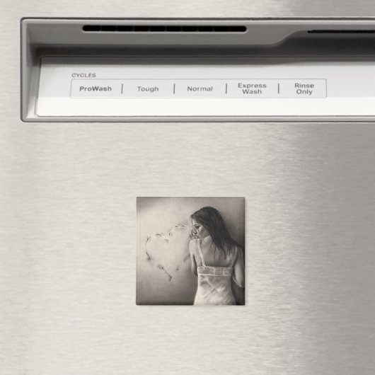 Je hebt hem gebroken Magnet (Insitu (Vaatwasser))